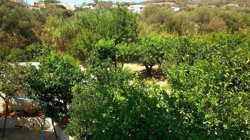 Kalathos Sun Hotel エクステリア 写真